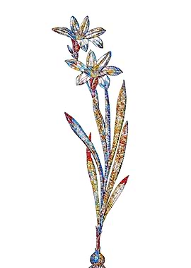 Stained Glass Ixia Flower