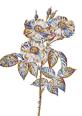 Rainbow Mosaic Flower