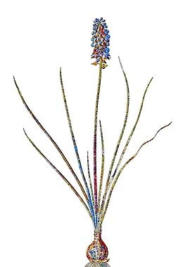 Stained Glass Botanical