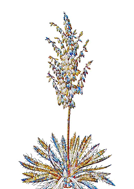 Stained Glass Botanical