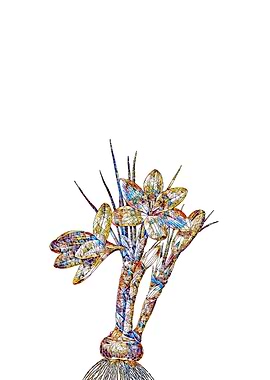Stained Glass Crocus Flora