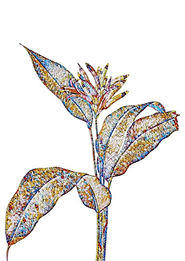 Stained Glass Botanical