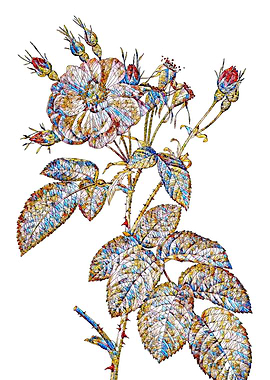 Stained Glass Rose Flower