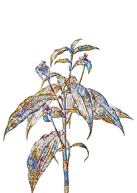 Stained Glass Botanical