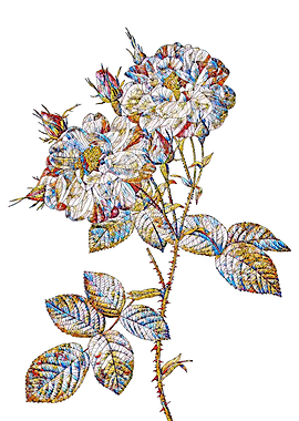 Stained Glass Rose Flower