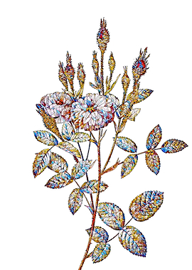 Stained Glass Rose Flower