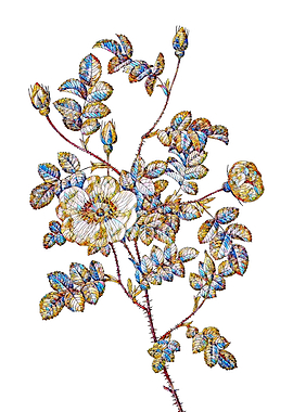 Stained Glass Rose Flower