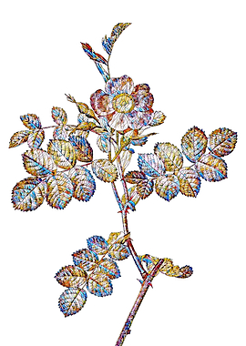 Stained Glass Rose Flower