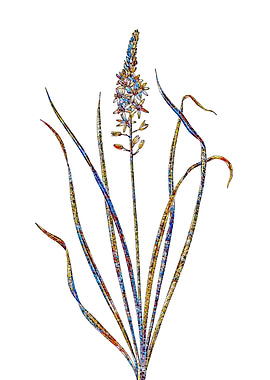 Prismatic Mosaic Floral