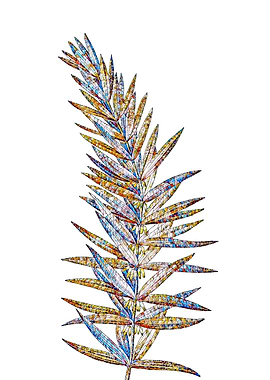 Prismatic Mosaic Floral