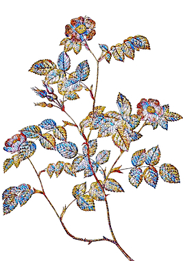 Stained Glass Rose Flower