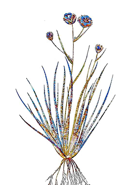 Stained Glass Lily Flower