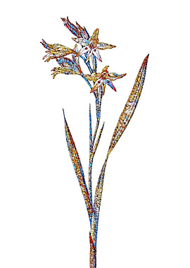 Stained Glass Gladiolus