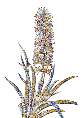 Rainbow Mosaic Flower