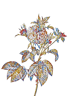 Stained Glass Rose Flower