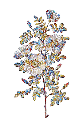 Stained Glass Rose Flower