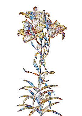 Stained Glass Lily Flower
