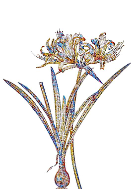 Stained Glass Lily Flower