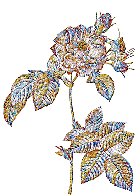 Stained Glass Rose Flower