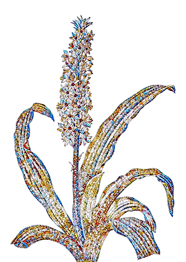 Stained Glass Botanical