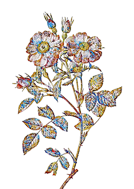 Stained Glass Rose Flower