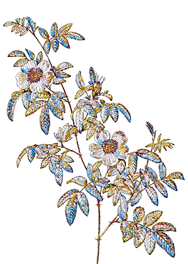 Stained Glass Rose Flower