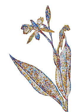 Stained Glass Botanical