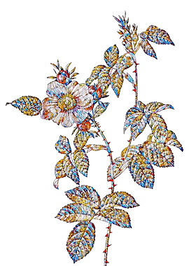 Stained Glass Rose Flower