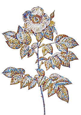 Stained Glass Rose Flower