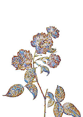 Stained Glass Rose Flower