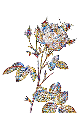 Stained Glass Rose Flower