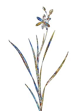 Stained Glass Ixia Flower