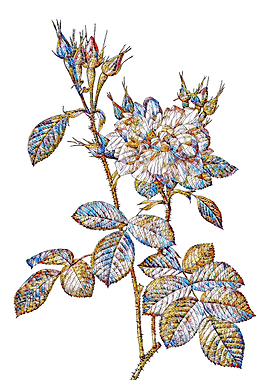 Stained Glass Rose Flower