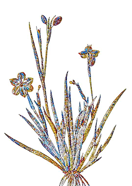 Prismatic Mosaic Floral