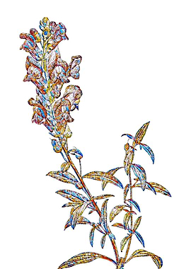 Rainbow Mosaic Flower