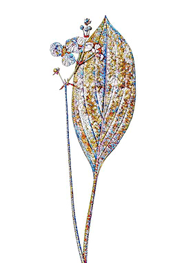 Stained Glass Botanical