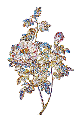 Stained Glass Rose Flower