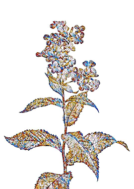 Prismatic Mosaic Floral