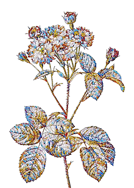 Stained Glass Rose Flower