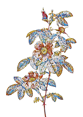 Stained Glass Rose Flower