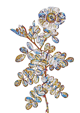 Stained Glass Rose Flower