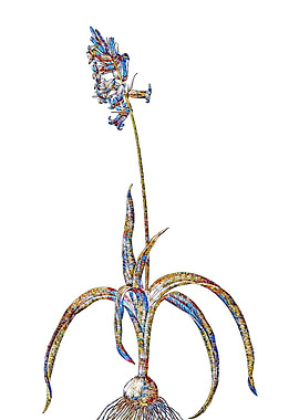 Stained Glass Botanical