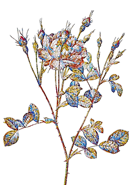 Stained Glass Rose Flower