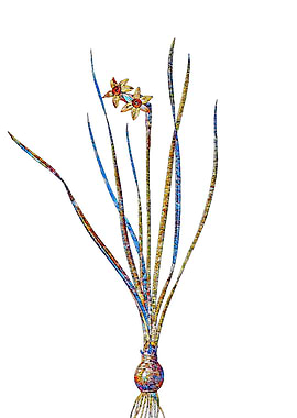 Rainbow Mosaic Flower