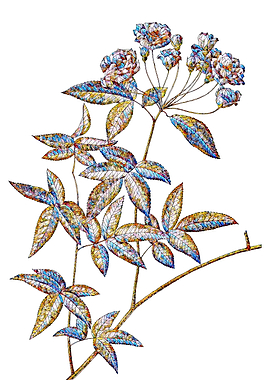 Stained Glass Rose Flower