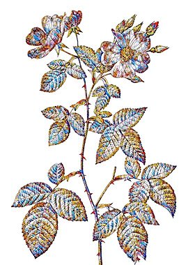 Stained Glass Rose Flower