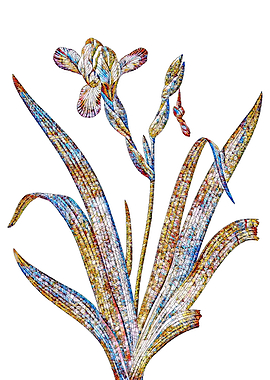 Stained Glass Iris Flower