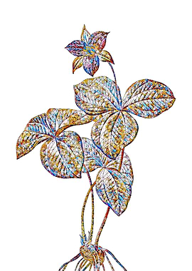 Prismatic Mosaic Floral