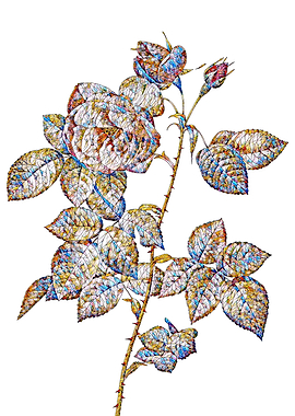 Stained Glass Rose Flower