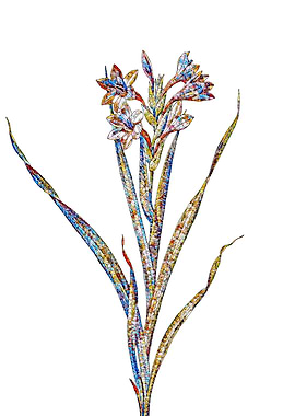 Stained Glass Lily Flower